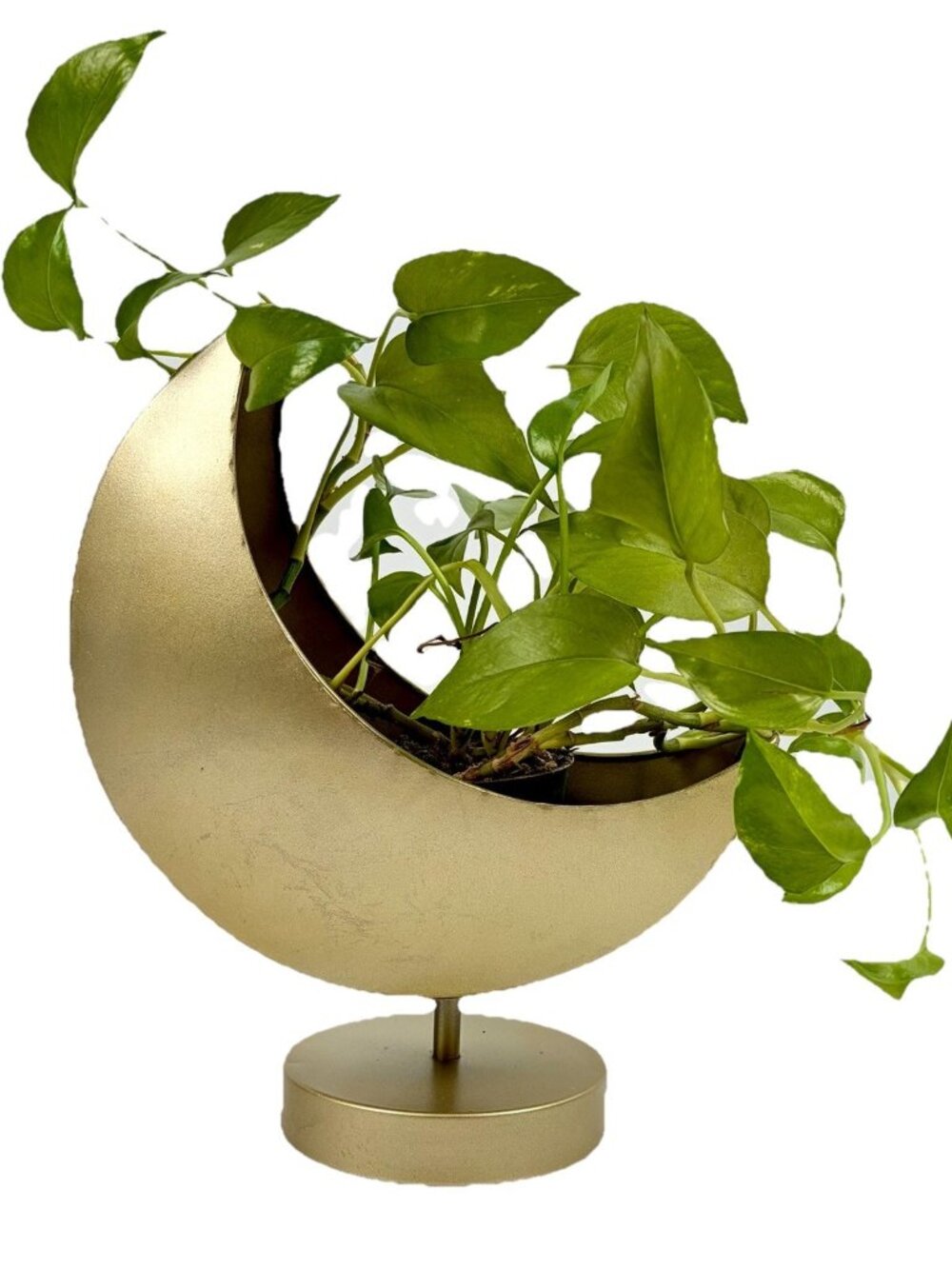 Gold Tone Crescent Moon Pedestal Planter Candle Holder Celestial Whimsigoth